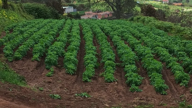 e8d23281 c702 4a20 af6a 230a268977c9 e8d23281 c702 4a20 af6a 230a268977c9