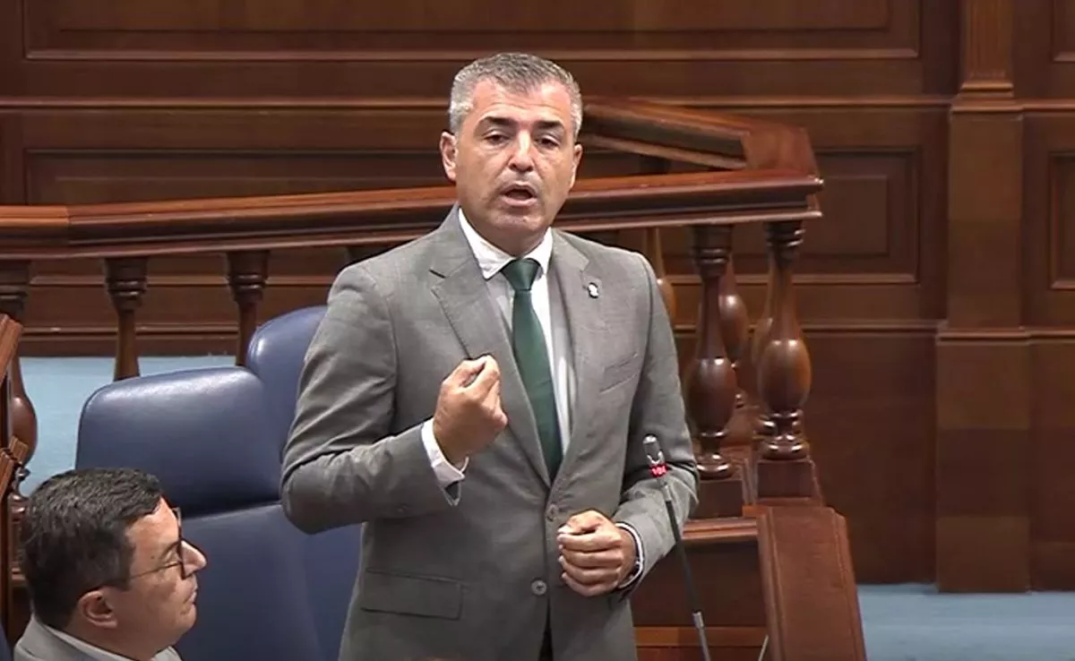 Vicepresidente de Canarias y líder regional del PP, Manuel Domínguez. /ParCan
