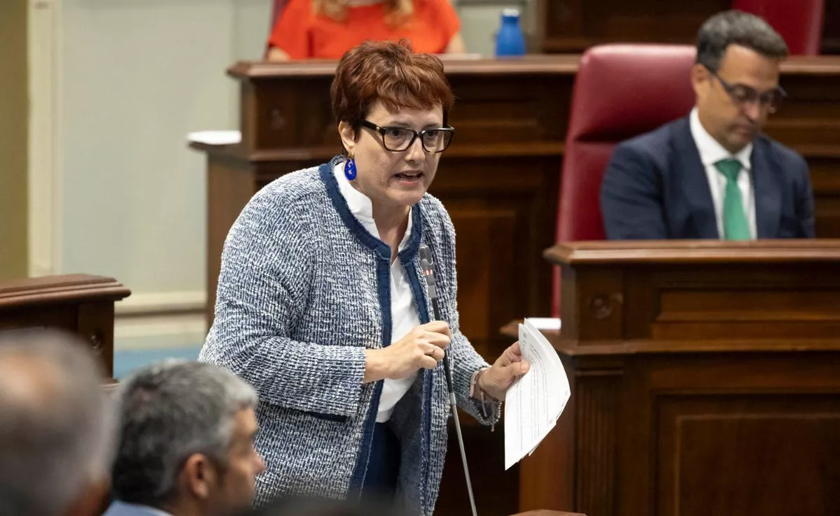 La consejera de Bienestar Social, Igualdad, Juventud, Infancia y Familias, Candelaria Delgado, durante su intervención en el Pleno del Parlamento de Canarias. /EFE/Mi