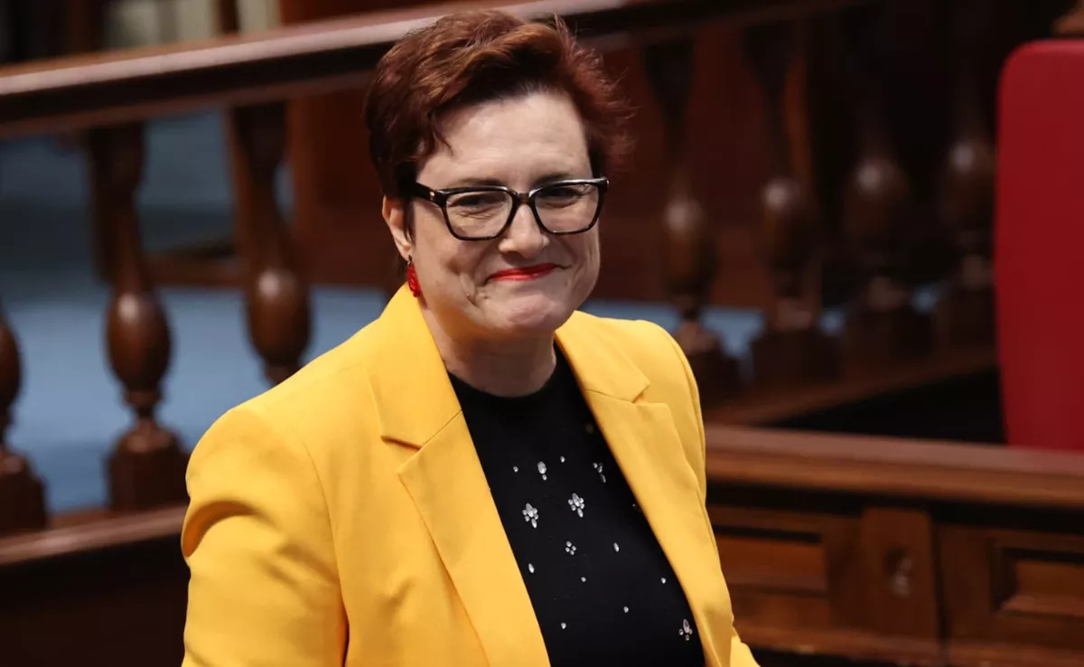 Candelaria Delgado, consejera de Bienestar Social del Gobierno de Canarias / AH