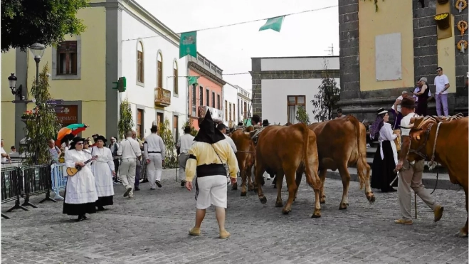 Paseo de los animales por el casco histórico de Guía, uno de los actos de la Fiesta / MAYORDOMOS DE LAS MARÍAS Paseo de los animales por el casco histórico de Guía, uno de los actos de la Fiesta / MAYORDOMOS DE LAS MARÍAS