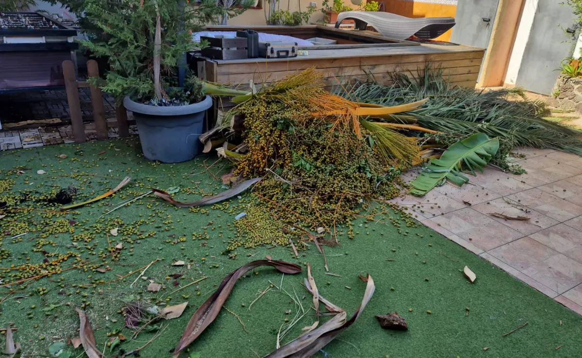 Diseño sin título 2025 09 12T172625.769 Diseño sin título 2025 09 12T172625.769