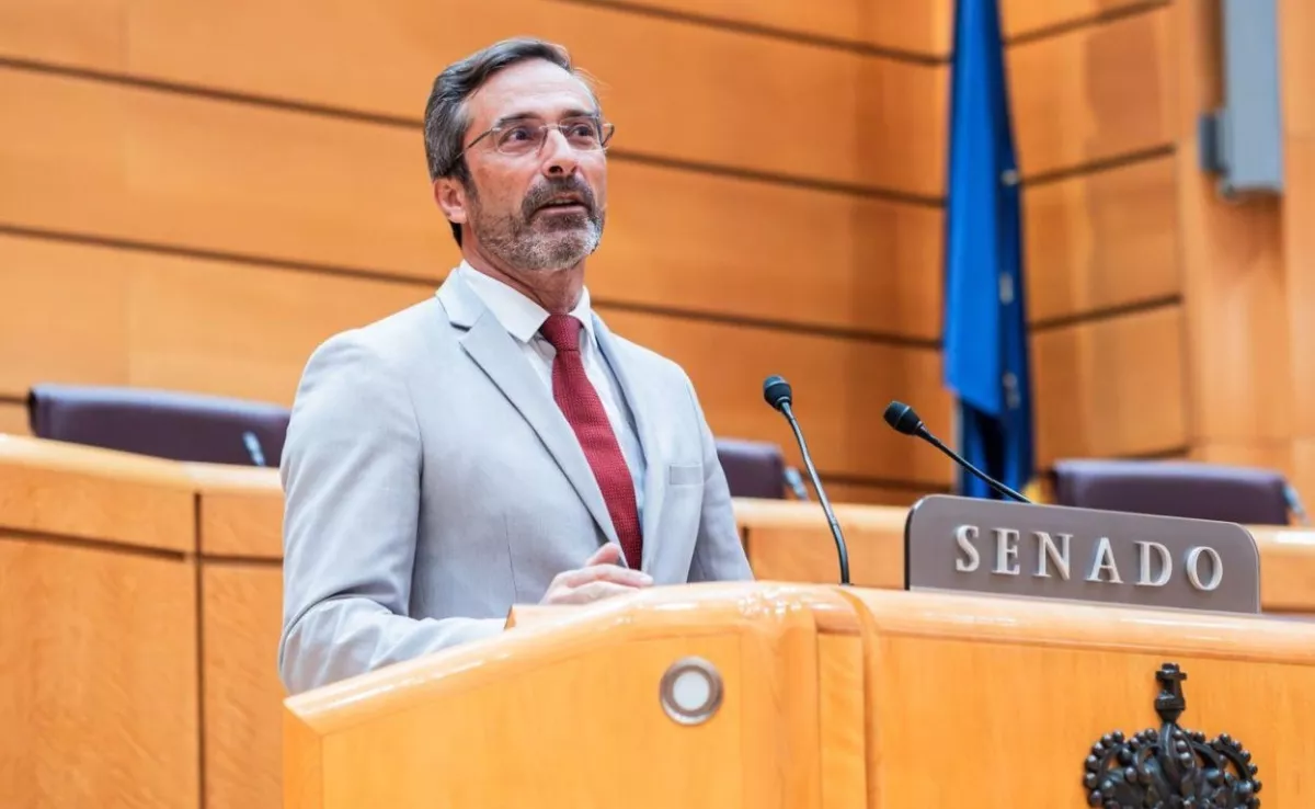 Pedro San Ginés, senador de CC / COALICIÓN CANARIA