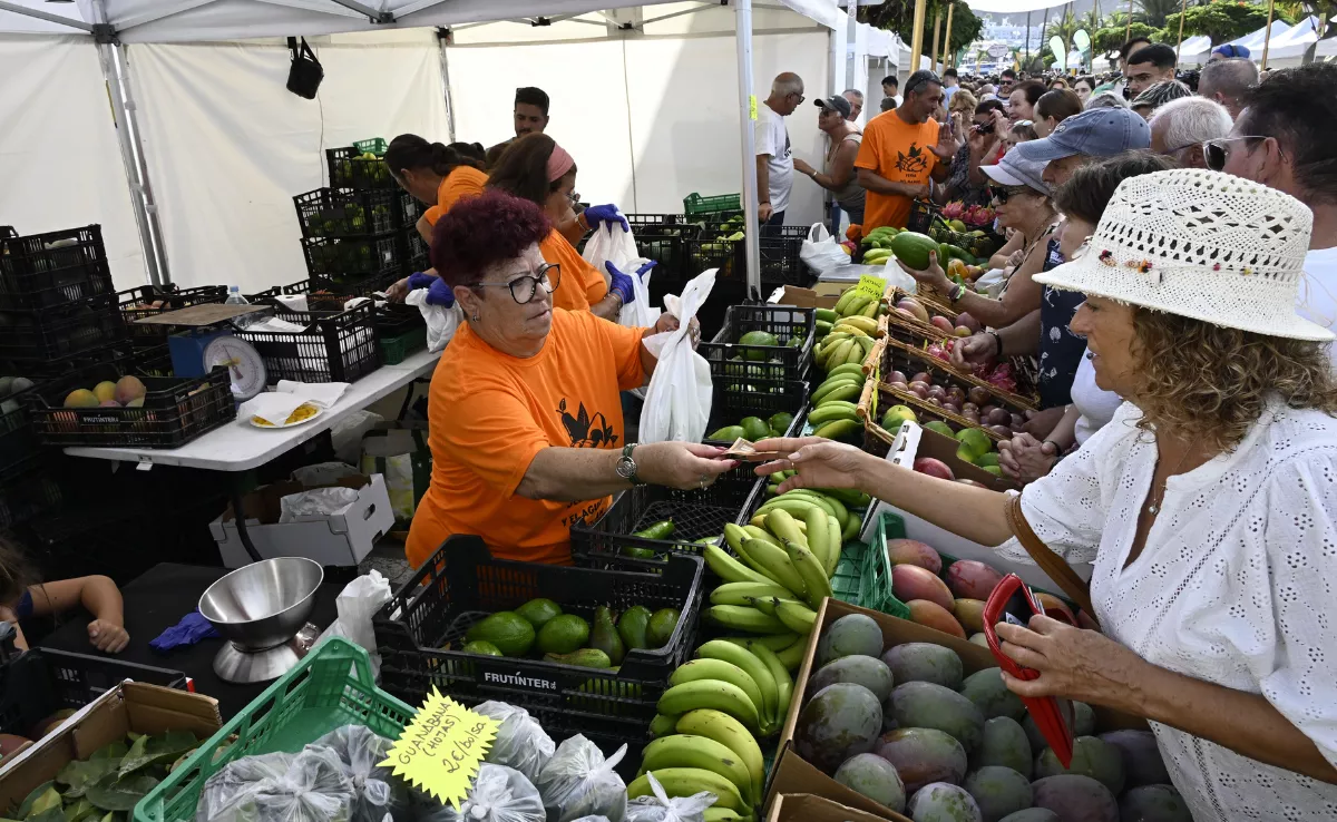 Feria del aguacate y el mango en Mogán / AYUNTAMIENTO DE MOGÁN