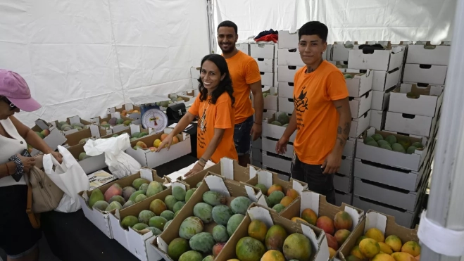 Feria del aguacate y el mango en MogánAYUNTAMIENTO DE MOGÁN (1)