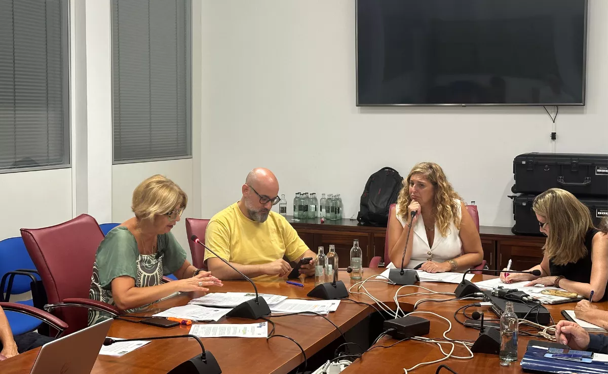 452 de los 670 empleados que tiene el IASS en Gran Canaria estuvieron de baja el año pasado. A la derecha, Isabel Mena, consejera de Política Social durante la comisión de este martes / AH