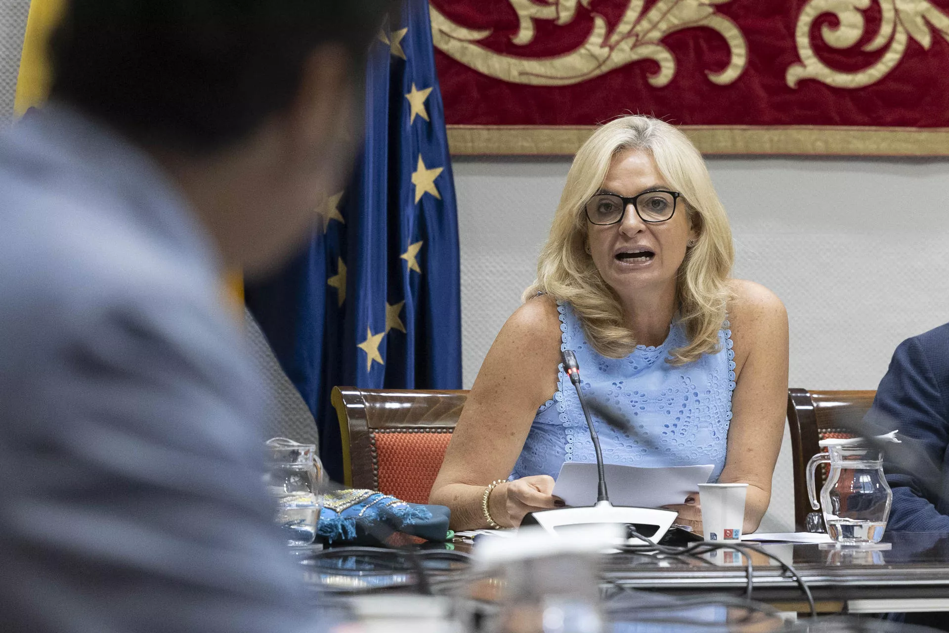 La consejera de Sanidad, Esther Monzón, en comisión parlamentaria. / EFE - MIGUEL BARRETO