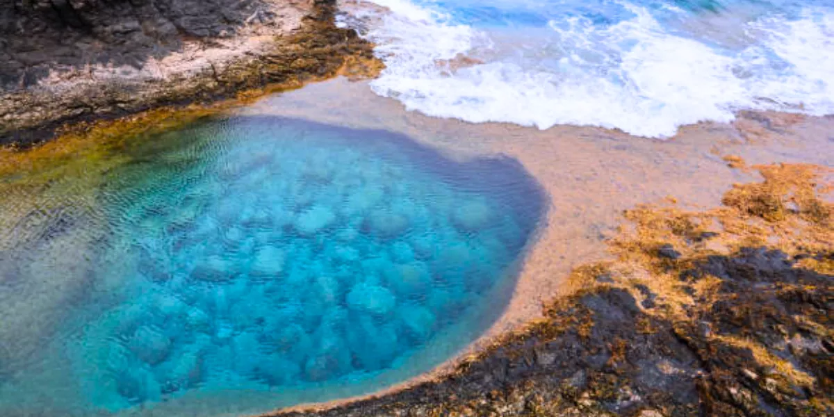 Imagen del charco secreto en Fuerteventura / ARCHIVO 