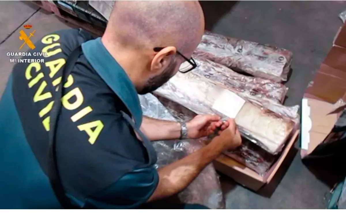 Un guardia civil inspecciona uno de los lotes intervenidos en la 'operación Bife'. / AH