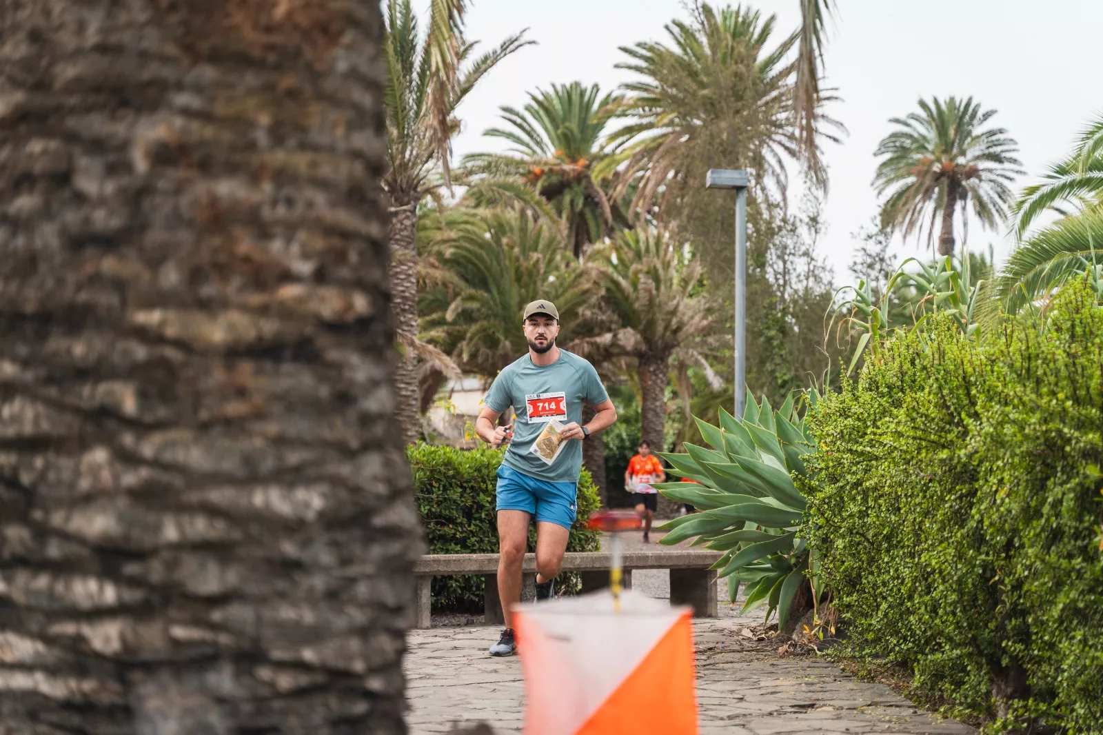 Imagen de la LPA City Race. / CÉSAR GIRALDO