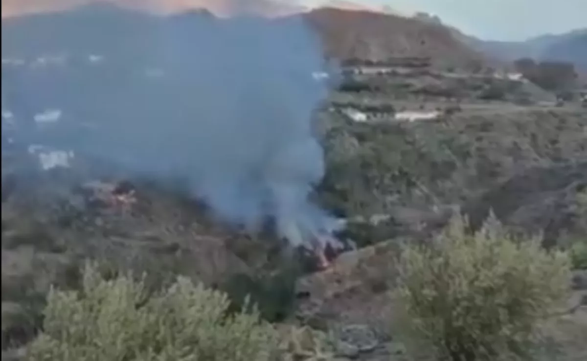 Un incendio afecta a unos 500 metros cuadrados cerca del ingenio de Santa Lucía, en Gran Canaria. / CABILDO DE GRAN CANARIA 