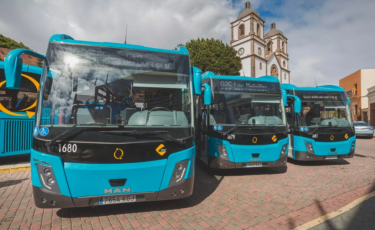 En la imagen, guaguas de Global / GLOBAL