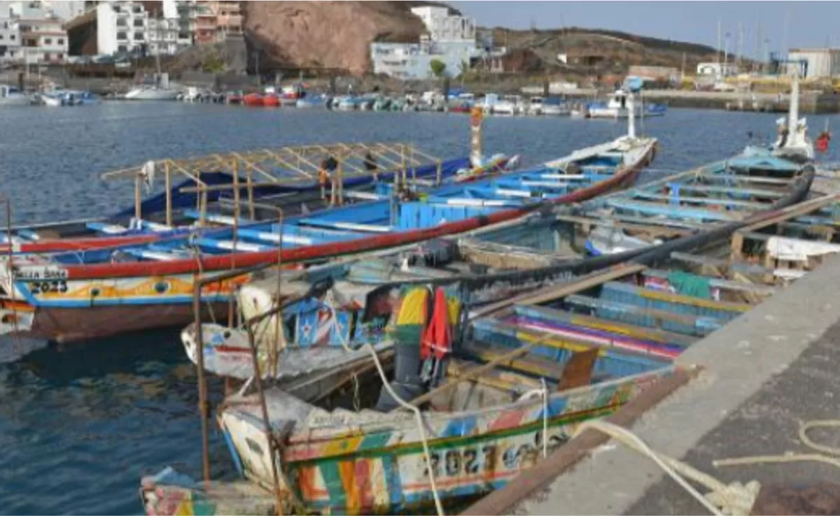 Imagen de archivo de cayucos amarrados en el muelle de La Restinga. / EFE