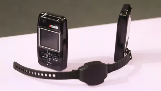 Imagen de las pulseras antimaltratoEFE