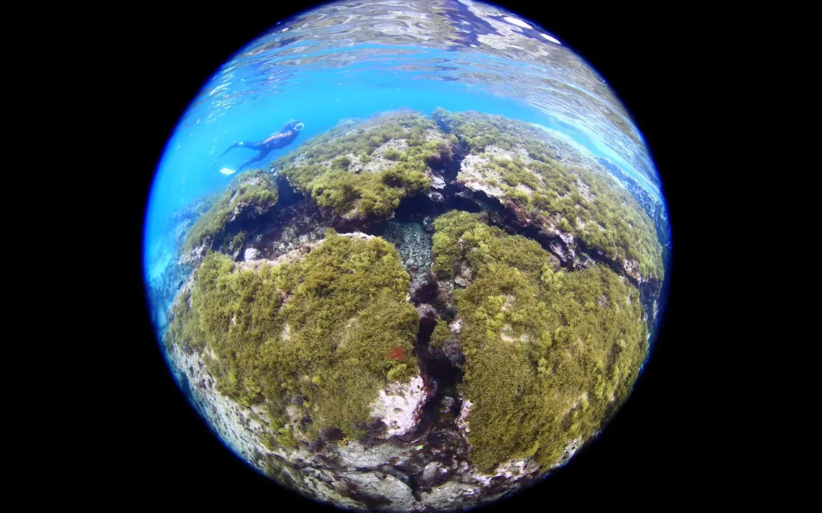 La concesión perdida por el Ayuntamiento en Las Canteras deja en el aire al Fotosub. En la imagen, una de las fotos premiadas en 2024. / TANAUSÚ MOTAS Y YOLANDA GARCÍA