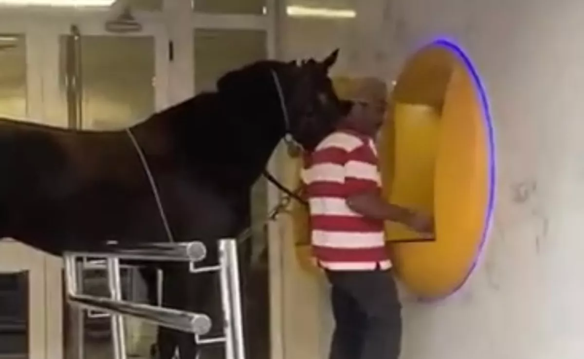 Captura del vídeo de un señor sacando dinero junto a su yegua / AH
