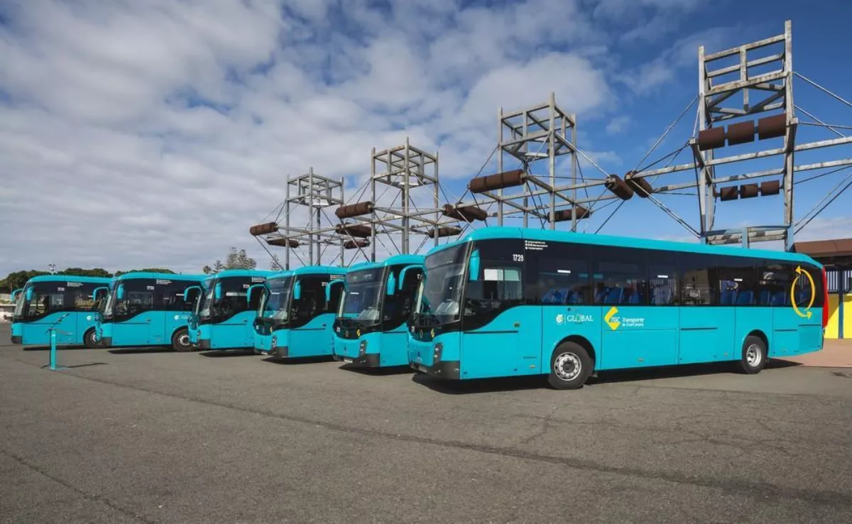 Canarias defiende la gratuidad del transporte y alerta de que su futuro está en riesgo