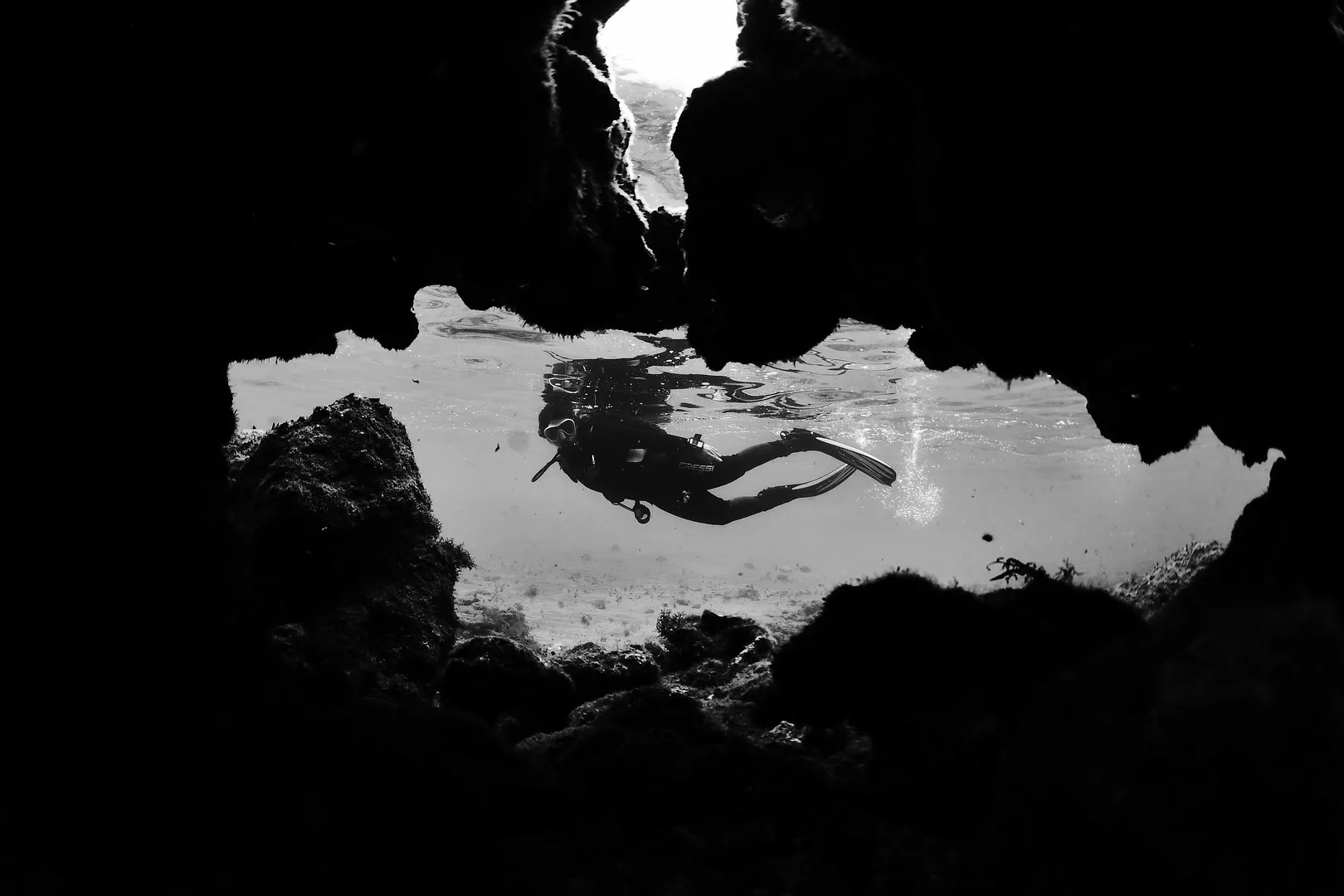 Costas da luz verde al Fotosub en Playa Chica y marca la gestión de Las Canteras. / DAVID FERNÁNDEZ y KEILY GIRON