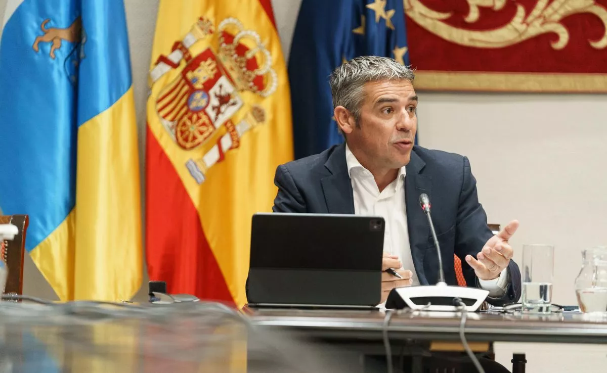 El consejero de Agricultura del Gobierno de Canarias, Narvay Quintero. /EFE