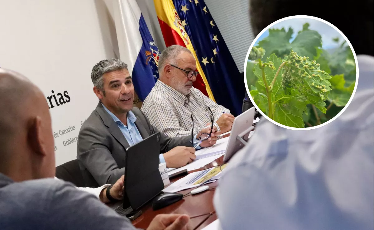 Narvay Quintero, consejero del Sector Primario del Gobierno de Canarias, durante la constitución del Comité Científico-Técnico de la filoxera. / MONTAJE AH - FOTOS GOBIERNO DE CANARIAS