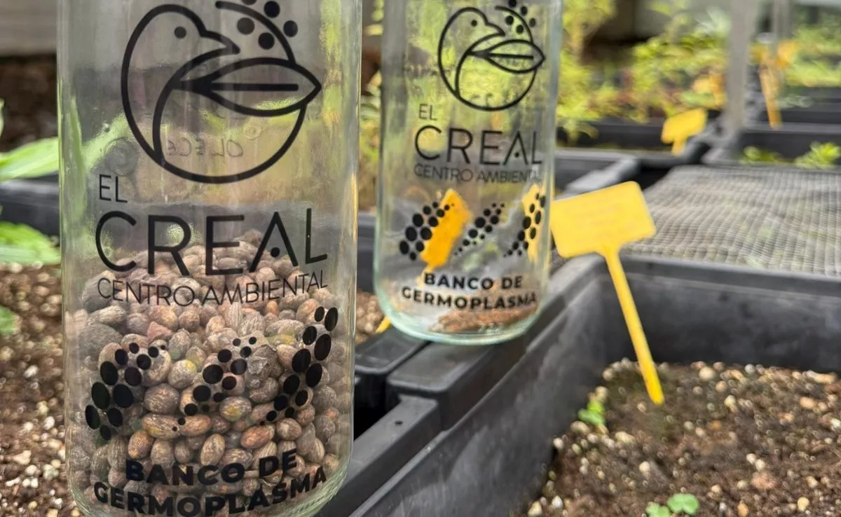 Semillas en el Centro Ambiental de El Creal, /Cedida