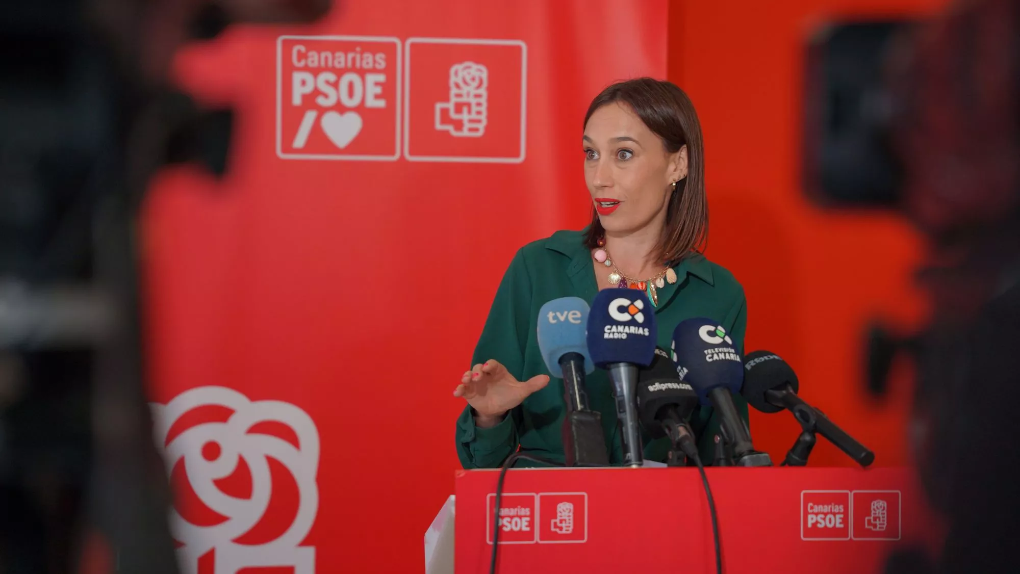 La secretaria de Organización del PSOE en Canarias, Nira Fierro. / CEDIDA