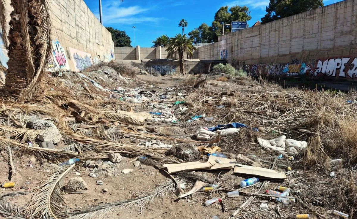 Basura acumulada en el cauce del barranco de Guiniguada / JUAN MANUEL RODRÍGUEZ