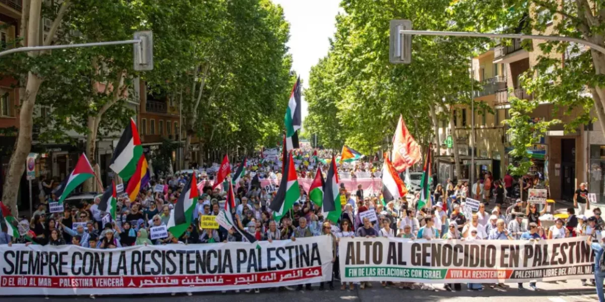 Manifestación de apoyo a Palestina / EFE 