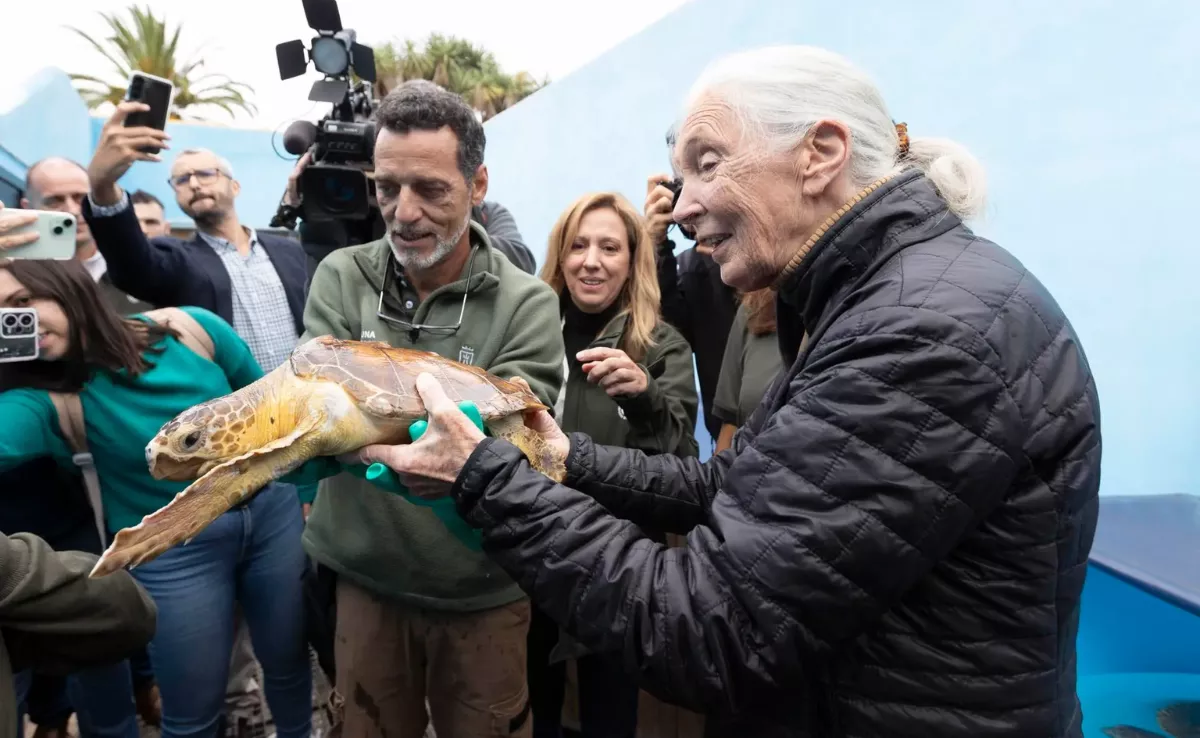 Jane Goodall en su última visita a Tenerife / EFE