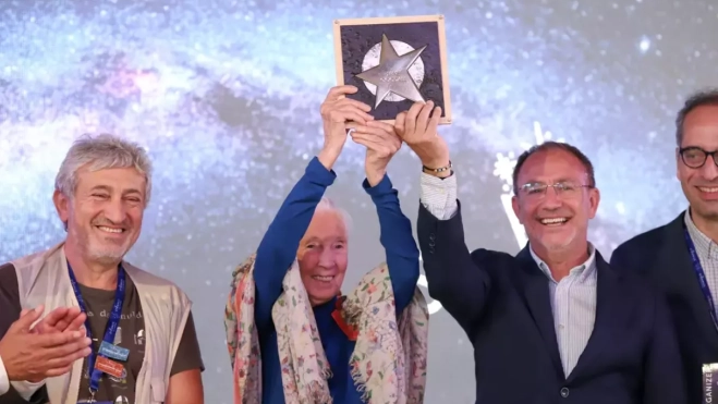 Diseño sin título 2025 10 02T095308.128