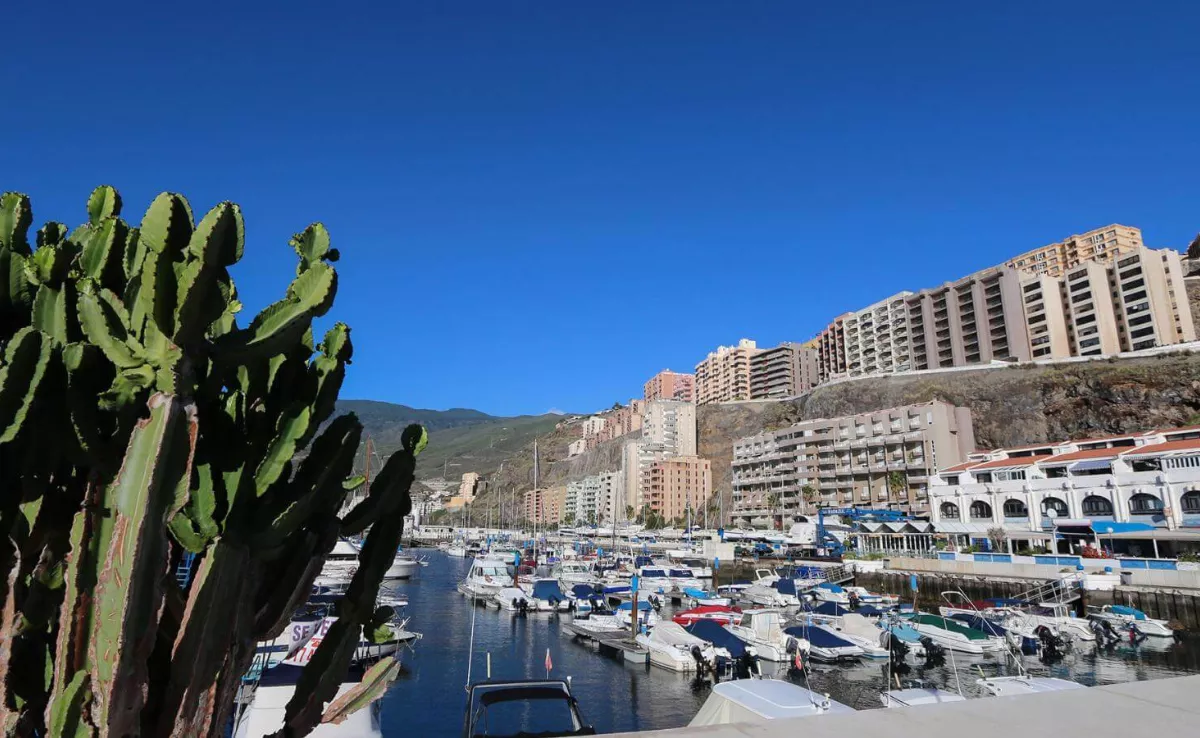 Imagen de El Rosario, uno de los municipios más ricos / HOLA ISLAS CANARIAS