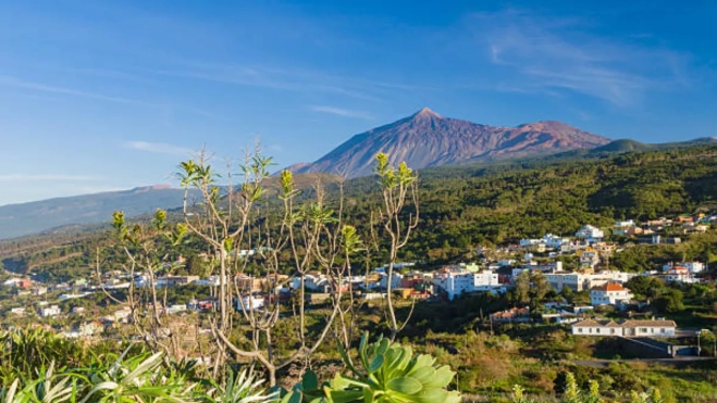 Diseño sin título 2025 10 02T115611.997