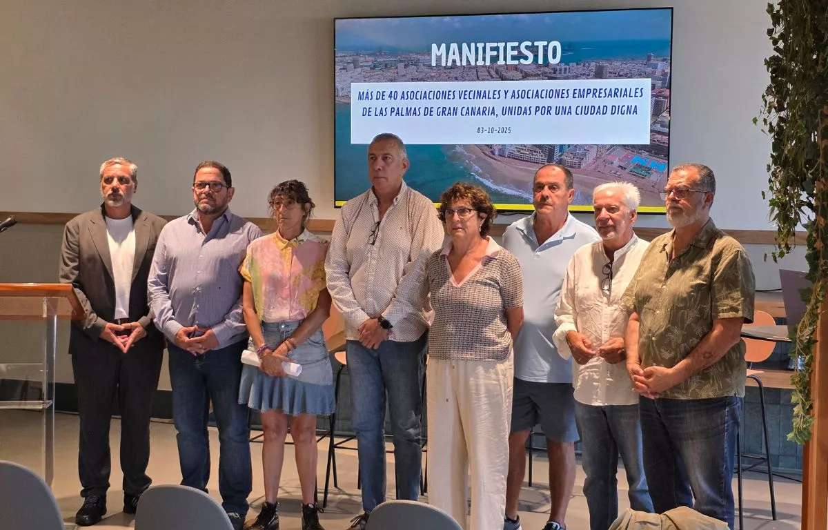 Representantes de algunas de las 40 asociaciones vecinales firmantes del manifiesto. ALBERTO LEY AH