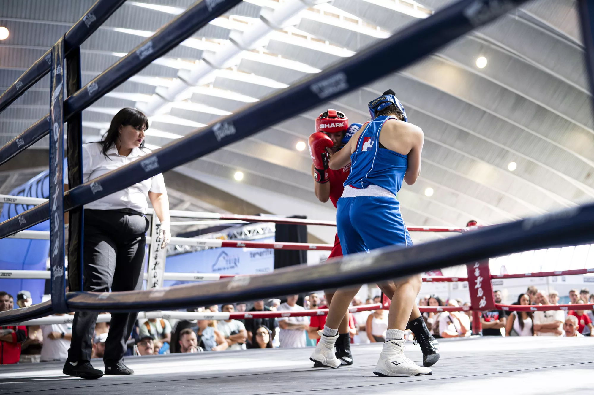 Dos personas practican boxeo en la clausura de ExpoDeca 2025. / CEDIDA