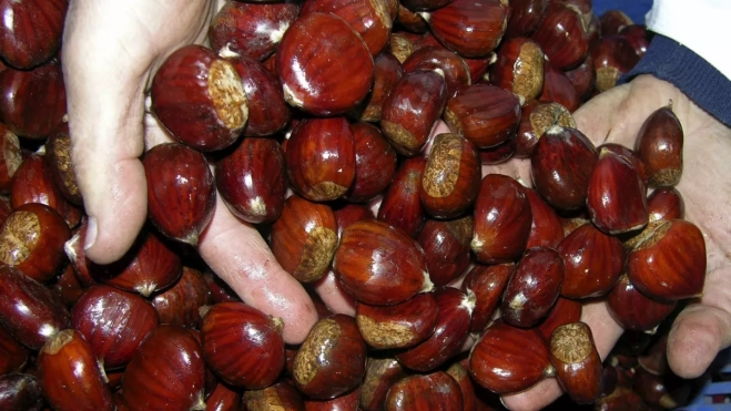 Diseño sin título 2025 10 06T113303.036