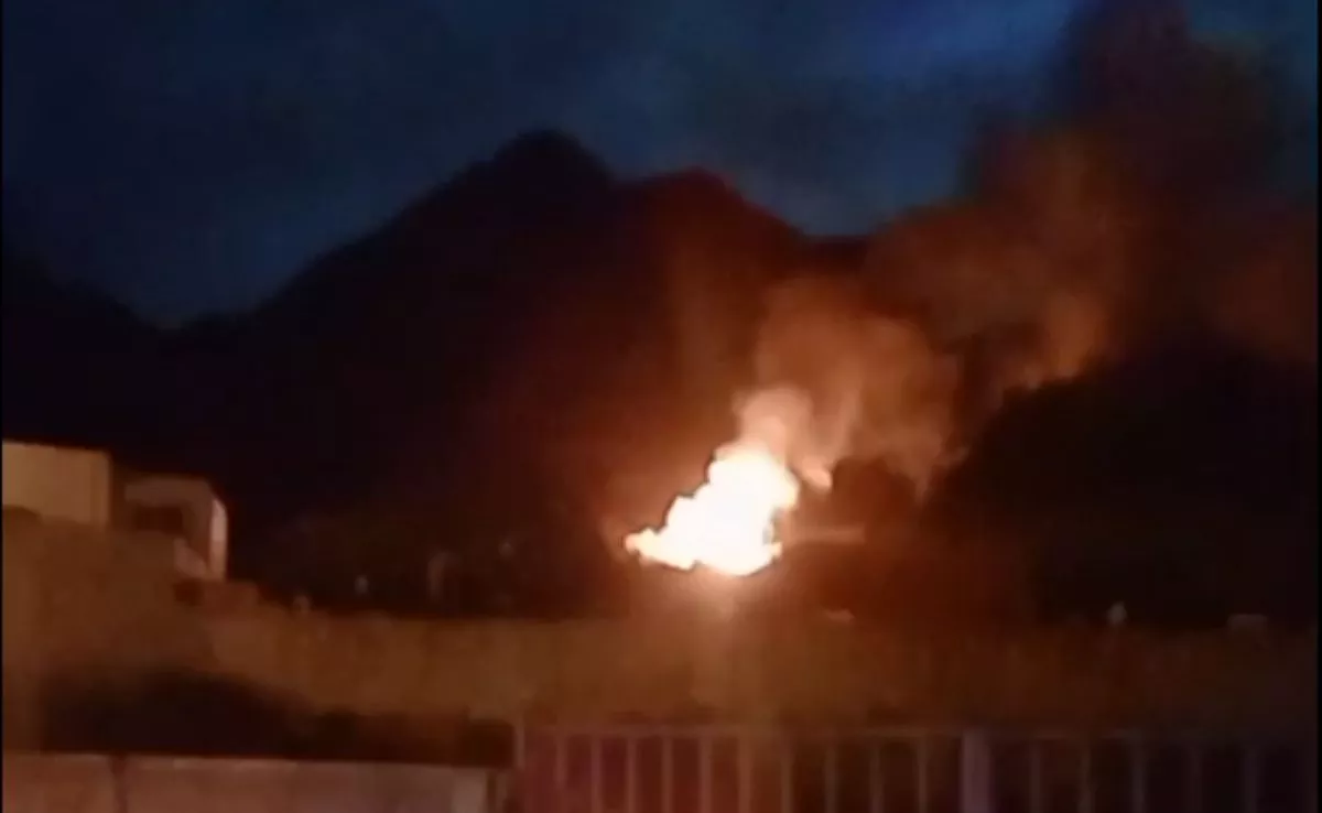 Incendio en una huerta de plataneras de Los Silos. /Cedida