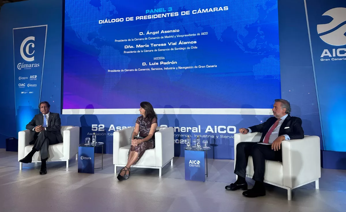 Mesa redonda en la 52 Asamblea de AICO / AH