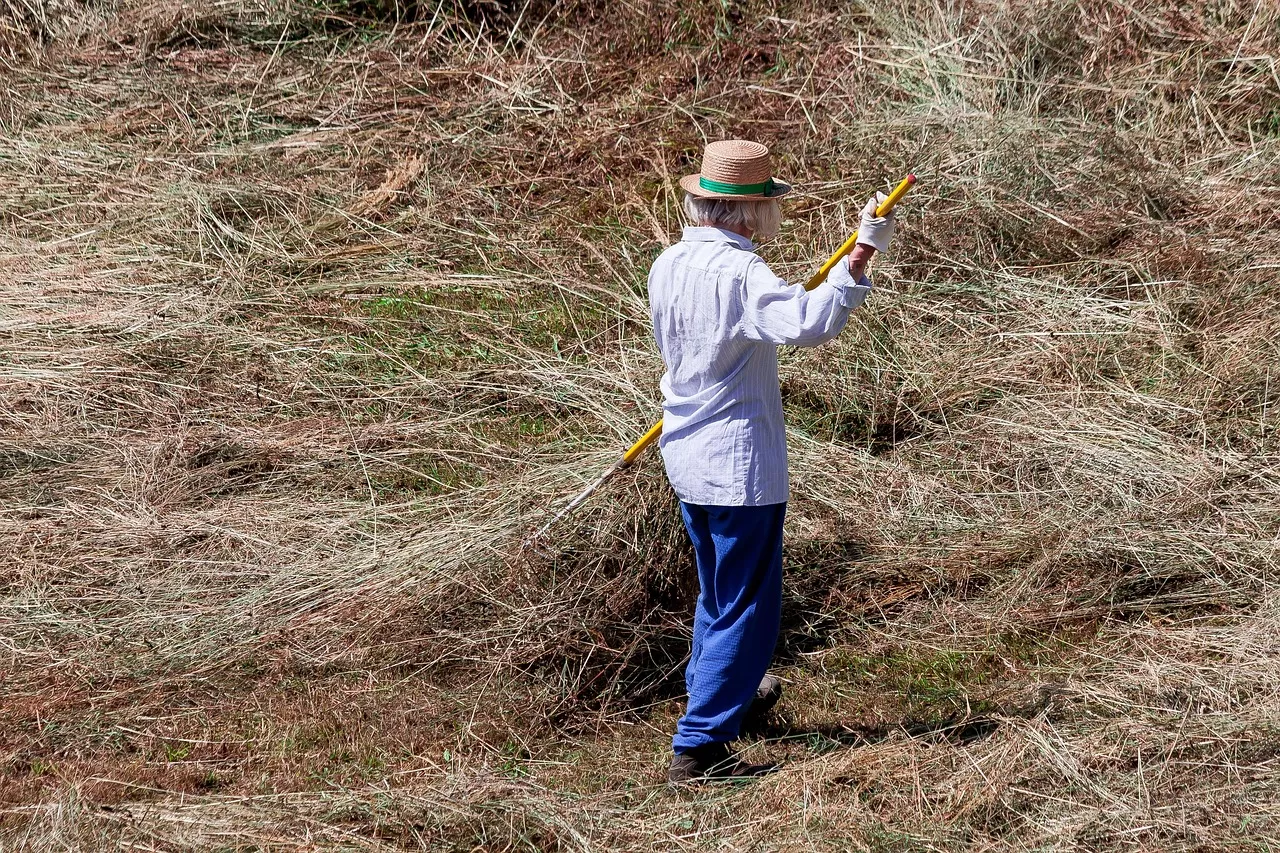 Imagen alusiva a una agricultora, figura a la que se dedicará la jornada en Tenerife. / PIXABAY - STUX