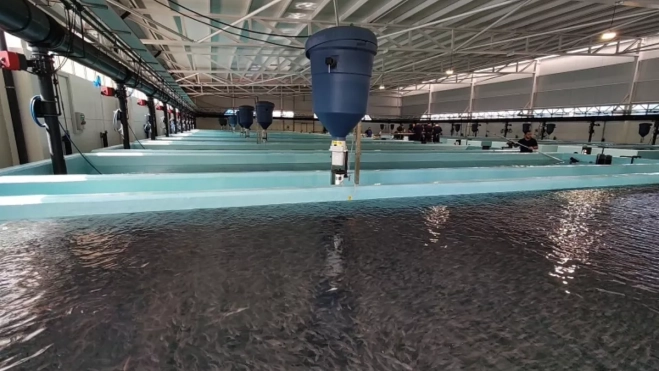 Diseño sin título (59) Diseño sin título (59)