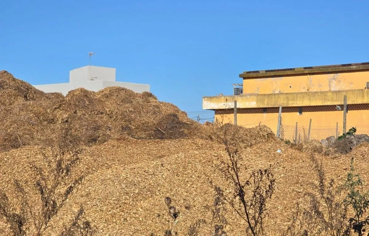 Imagen de astillas en Tenerife. CEDIDA
