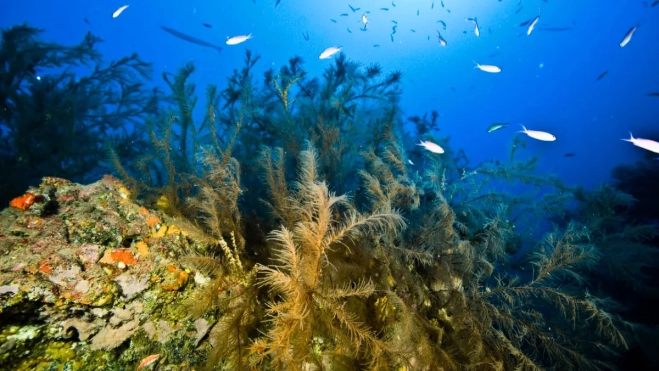 Diseño sin título 2025 10 13T150019.405 Diseño sin título 2025 10 13T150019.405