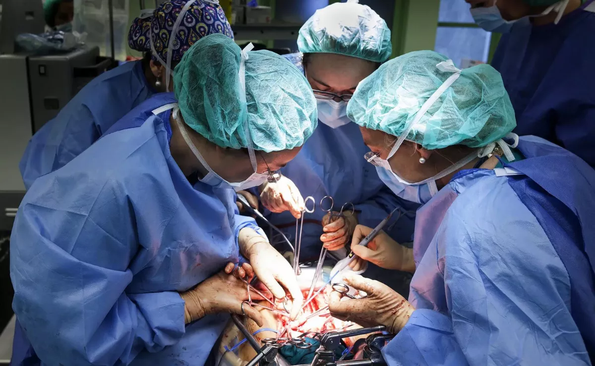 La privatización de la sanidad canaria se debe a la falta de planificación y deterioro de los servicios públicos. EFE/Ramón de la Rocha