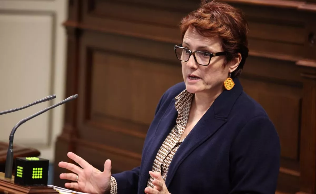 Candelaria Delgado, consejera de Bienestar Social. /Cedida