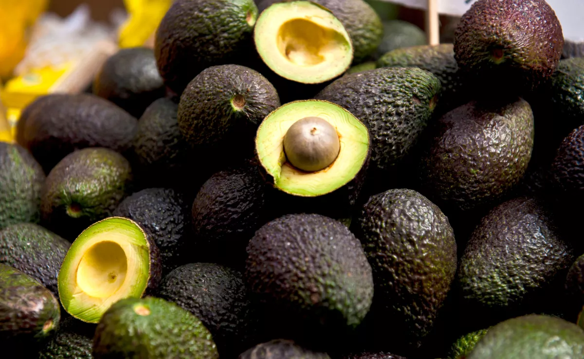 Imagen de unos aguacates / CANVA