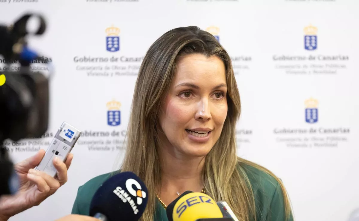 María Fernández, consejera de Transporte del Gobierno de Canarias hablando de descuento de residentes|EFE