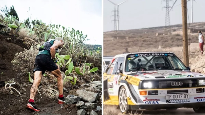 Diseño sin título 2025 10 16T151013.341 Diseño sin título 2025 10 16T151013.341