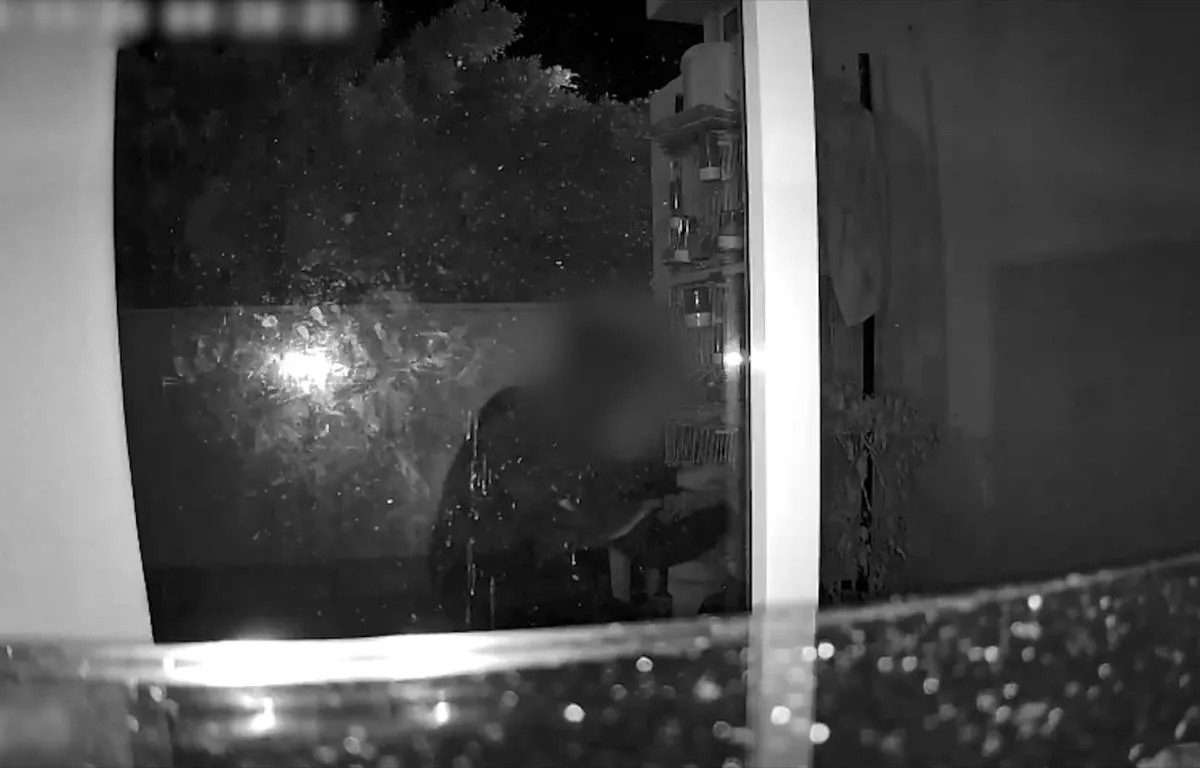 Detenido en Vecindario por una serie de robos y el hallazgo de aves encerradas en tuppers. GUARDIA CIVIL