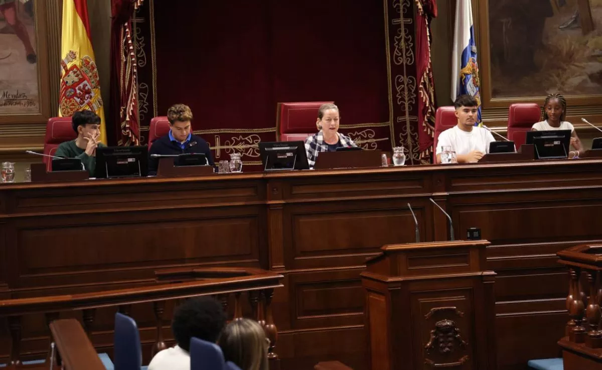 Jóvenes debaten en el Parlamento de Canarias|CEDIDA