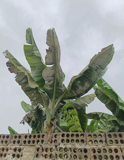 89b37d84 7662 4483 9ba5 b9281abbbd97 89b37d84 7662 4483 9ba5 b9281abbbd97