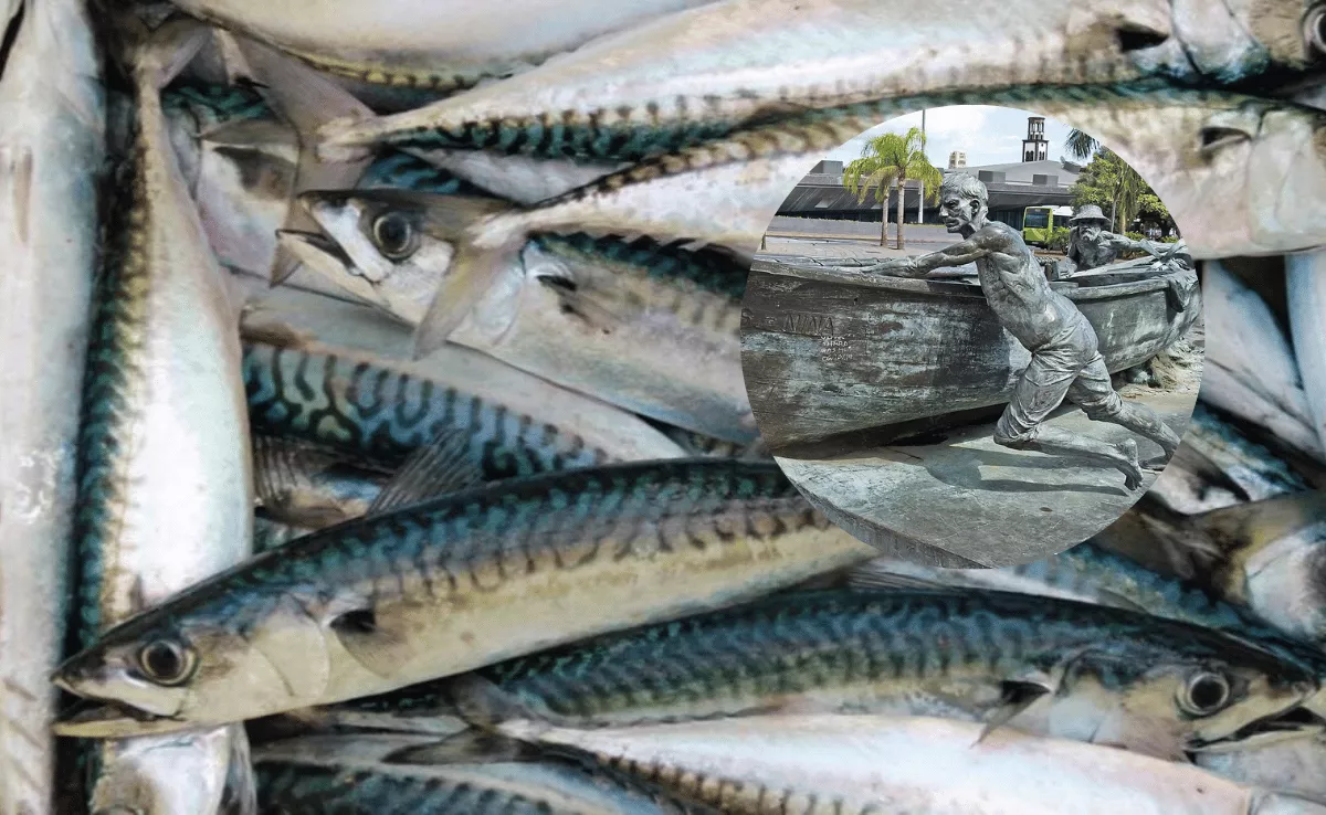 El origen del término chicharrero está en el chicharro, un pescado / AH